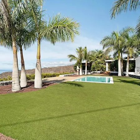 Slow Life The Palms *