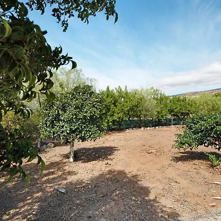 Villa Slow Life The Palms Guia de Isora (Tenerife)